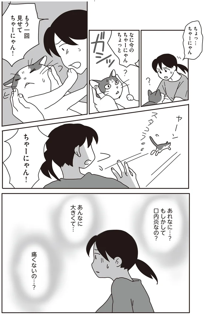 愛猫の口内に見つけた大きなできものが！ 気づいてあげられずごめん... ／世界一幸せな飼い主にしてくれた猫（4）