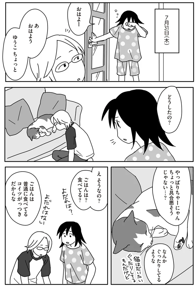 15歳の愛猫の元気がなくて心配でたまらない。熱中症？夏バテ？／世界一幸せな飼い主にしてくれた猫（2）