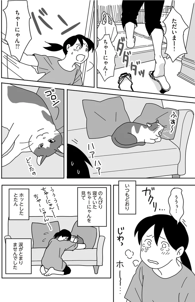 15歳の愛猫の元気がなくて心配でたまらない。熱中症？夏バテ？／世界一幸せな飼い主にしてくれた猫（6）