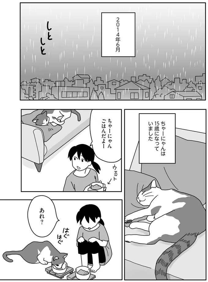 15歳の飼い猫がカリカリを食べなくなった。それが「きざし」だった／世界一幸せな飼い主にしてくれた猫（2）