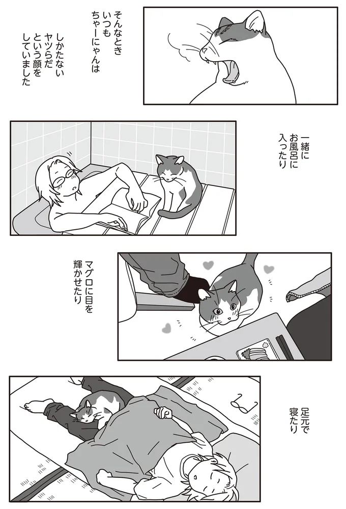 飼い猫が夫婦の縁をつないでくれた。2人と1匹の幸せな日常が続いていくと思っていたのに／世界一幸せな飼い主にしてくれた猫（7）