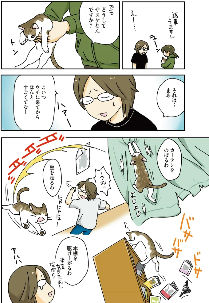 「あああ、かわいい」保護猫を飼うことにした彼。あまりのかわいさに...／世界一幸せな飼い主にしてくれた猫（6）