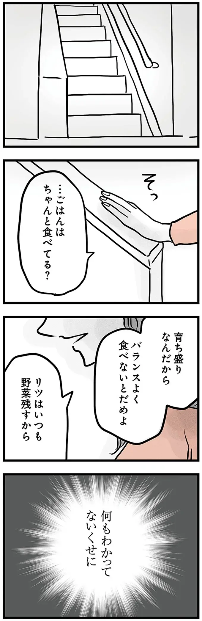 『15歳の息子が消えた日 不登校・卒業・そして家出』（41）