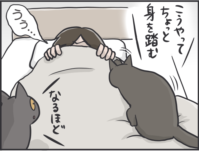 猫たちは普段どんなことを考えているの？ 猫目線で想像してみると...愛おしすぎる！／フニャコ（3）