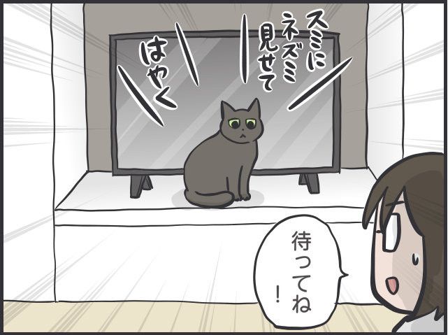 猫たちは普段どんなことを考えているの？ 猫目線で想像してみると...愛おしすぎる！／フニャコ（4）