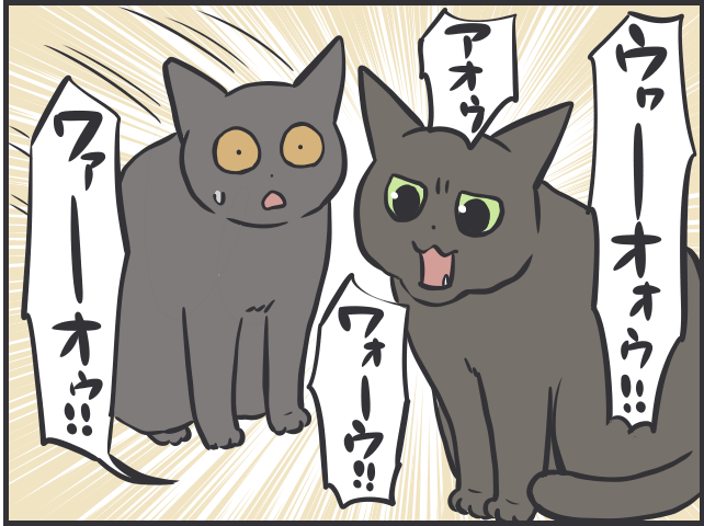 猫たちは普段どんなことを考えているの？ 猫目線で想像してみると...愛おしすぎる！／フニャコ（7）