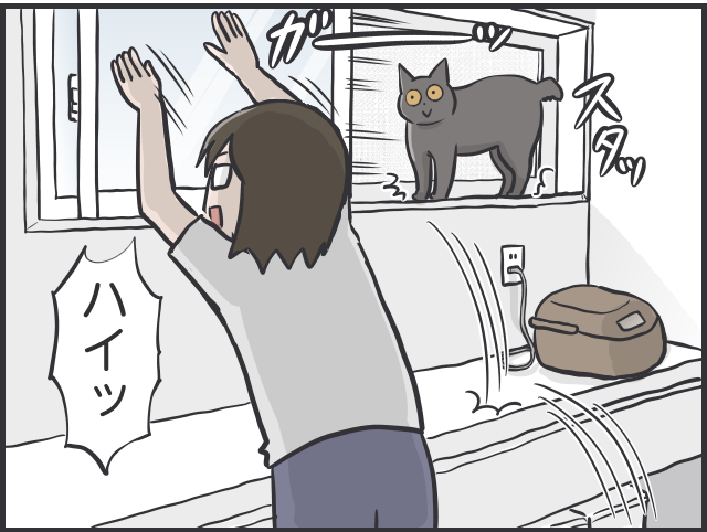 猫たちに一番愛情を注いでいるのは私なのに！夫と私への「扱いの格差」が納得いかない！／フニャコ（4）