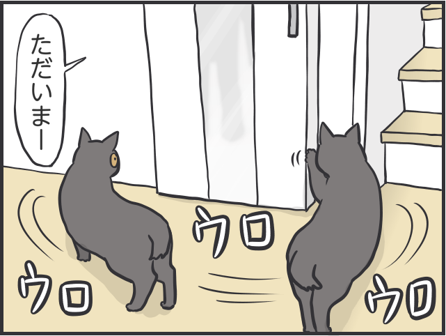 猫たちに一番愛情を注いでいるのは私なのに！夫と私への「扱いの格差」が納得いかない！／フニャコ（5）