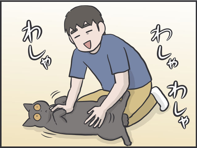 猫たちに一番愛情を注いでいるのは私なのに！夫と私への「扱いの格差」が納得いかない！／フニャコ（7）