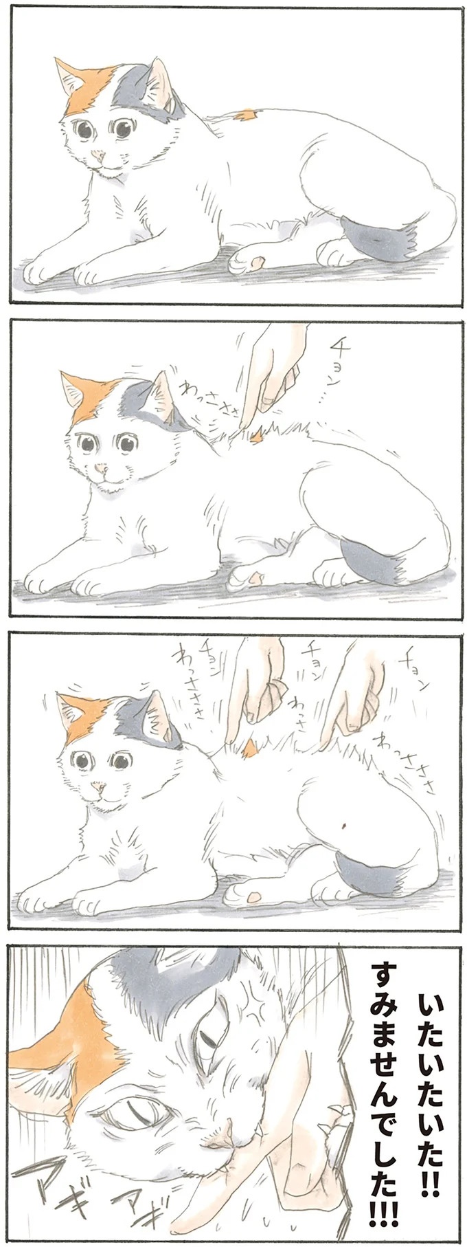 猫は飼い主に容赦なし。油断していたお腹の上にドンッ、からの…！／拾い猫のモチャ1（画像4/62枚目）