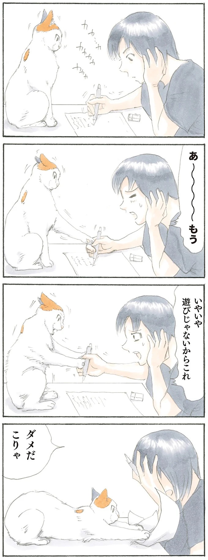 猫は飼い主に容赦なし。油断していたお腹の上にドンッ、からの…！／拾い猫のモチャ1（画像6/62枚目）