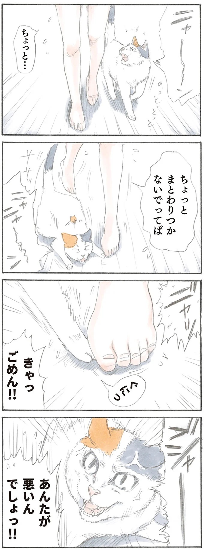 猫は飼い主に容赦なし。油断していたお腹の上にドンッ、からの…！／拾い猫のモチャ1（画像11/62枚目）