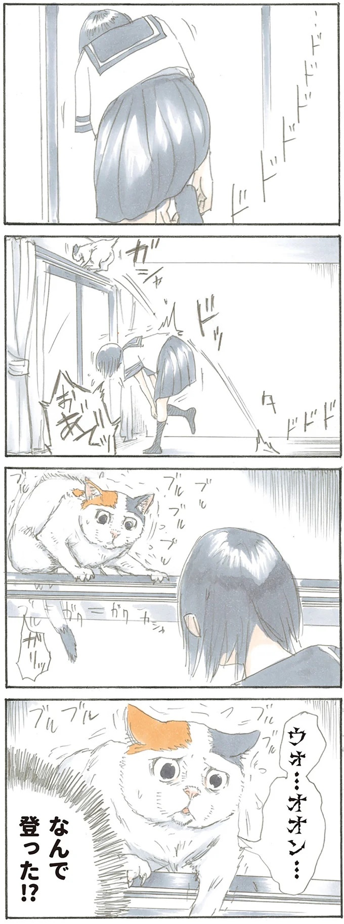 猫は飼い主に容赦なし。油断していたお腹の上にドンッ、からの…！／拾い猫のモチャ1（画像12/62枚目）
