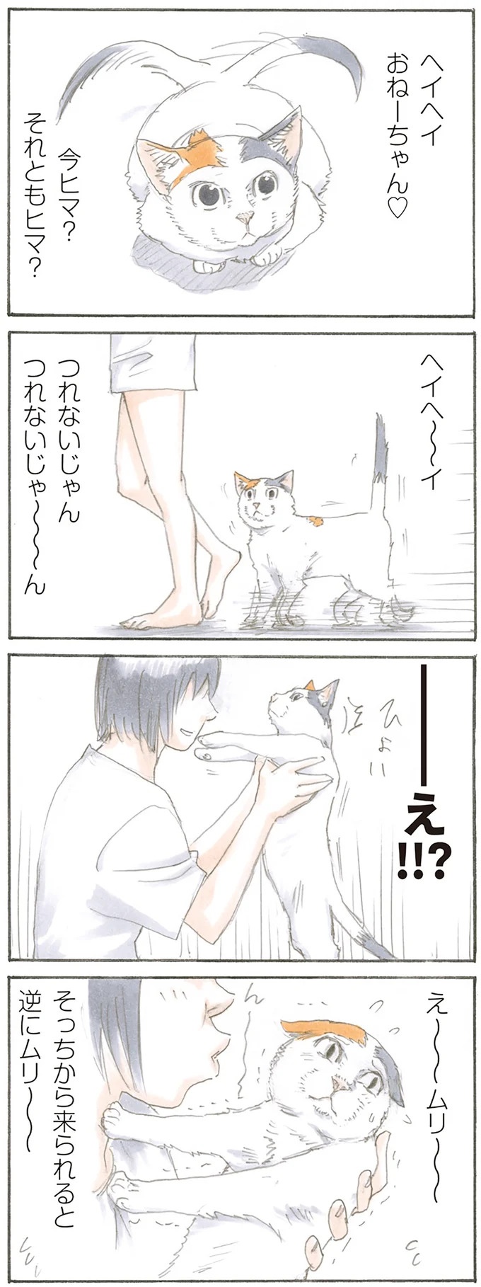 猫は飼い主に容赦なし。油断していたお腹の上にドンッ、からの…！／拾い猫のモチャ1（画像18/62枚目）