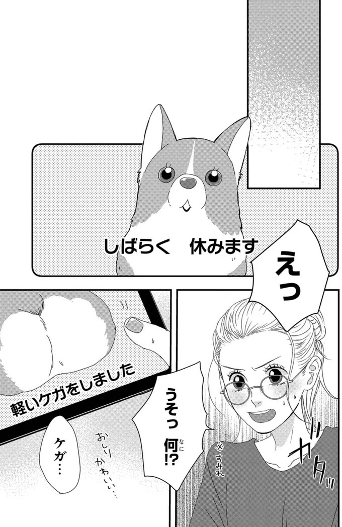 ふと現れるコーギーにメロメロ…。28歳の女性会社員がひそかに推しているのは／配信者・ハケンOLと手芸屋メロ1（画像74/176枚目）