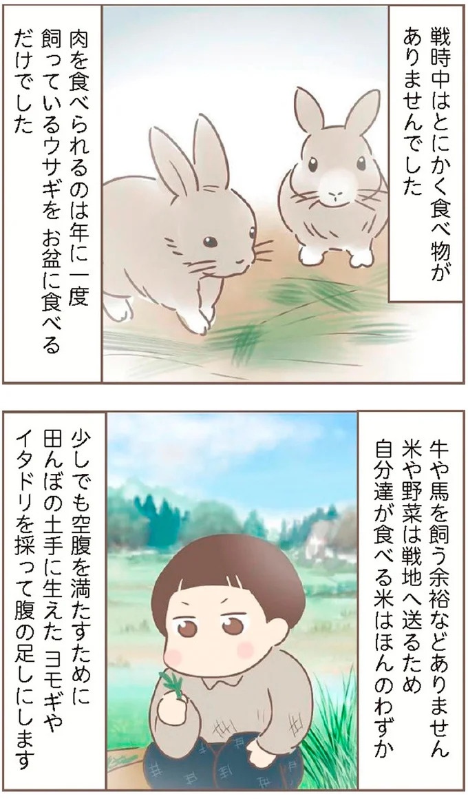 母があっさり告げた父の死。この日から私の生活は一変した／親に捨てられた私が日本一幸せなおばあちゃんになった話（画像242/462枚目）