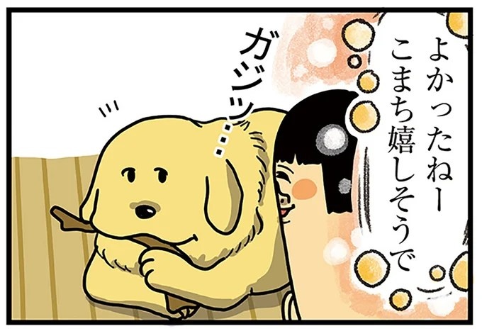 飼い主と犬の「心が通じ合った瞬間」。いや、これは嬉しくない…！／まめきちまめこニートの日常 こまちとタビ2（画像1/164枚目）