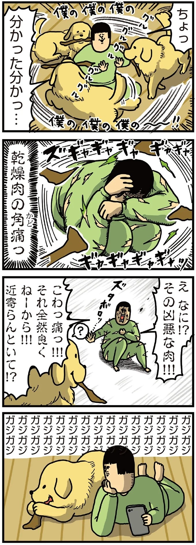 飼い主と犬の「心が通じ合った瞬間」。いや、これは嬉しくない…！／まめきちまめこニートの日常 こまちとタビ2（画像6/164枚目）