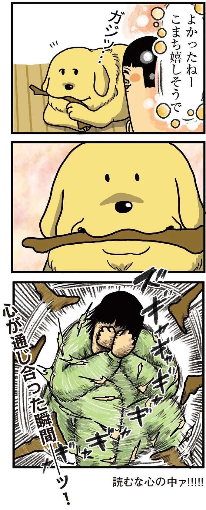 飼い主と犬の「心が通じ合った瞬間」。いや、これは嬉しくない…！／まめきちまめこニートの日常 こまちとタビ2（画像7/164枚目）