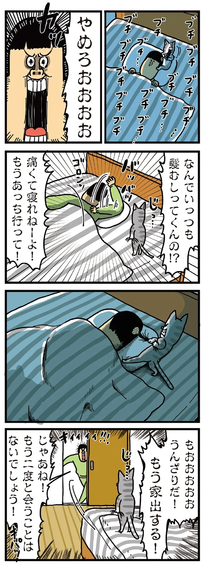 飼い主と犬の「心が通じ合った瞬間」。いや、これは嬉しくない…！／まめきちまめこニートの日常 こまちとタビ2（画像9/164枚目）