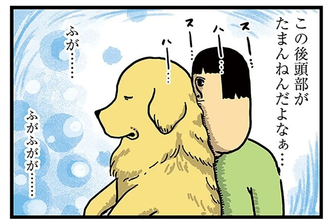 飼い主と犬の「心が通じ合った瞬間」。いや、これは嬉しくない…！／まめきちまめこニートの日常 こまちとタビ2（画像12/164枚目）