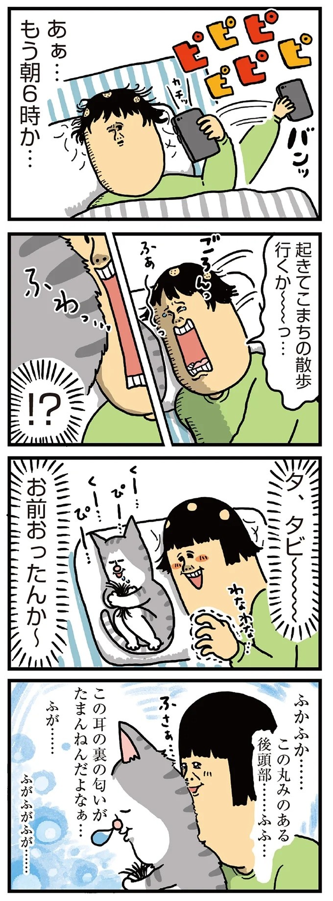 飼い主と犬の「心が通じ合った瞬間」。いや、これは嬉しくない…！／まめきちまめこニートの日常 こまちとタビ2（画像13/164枚目）