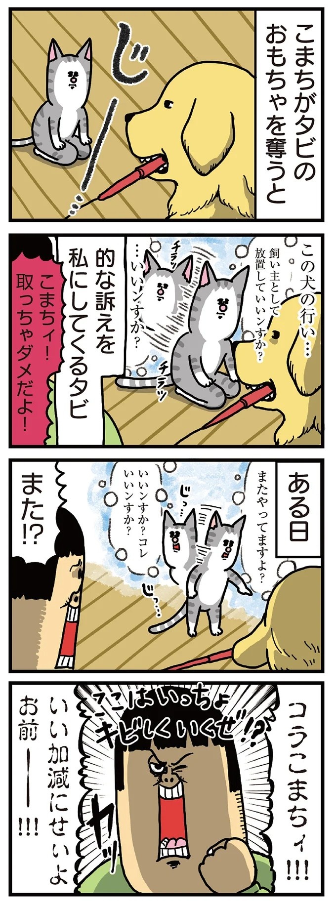 飼い主と犬の「心が通じ合った瞬間」。いや、これは嬉しくない…！／まめきちまめこニートの日常 こまちとタビ2（画像18/164枚目）