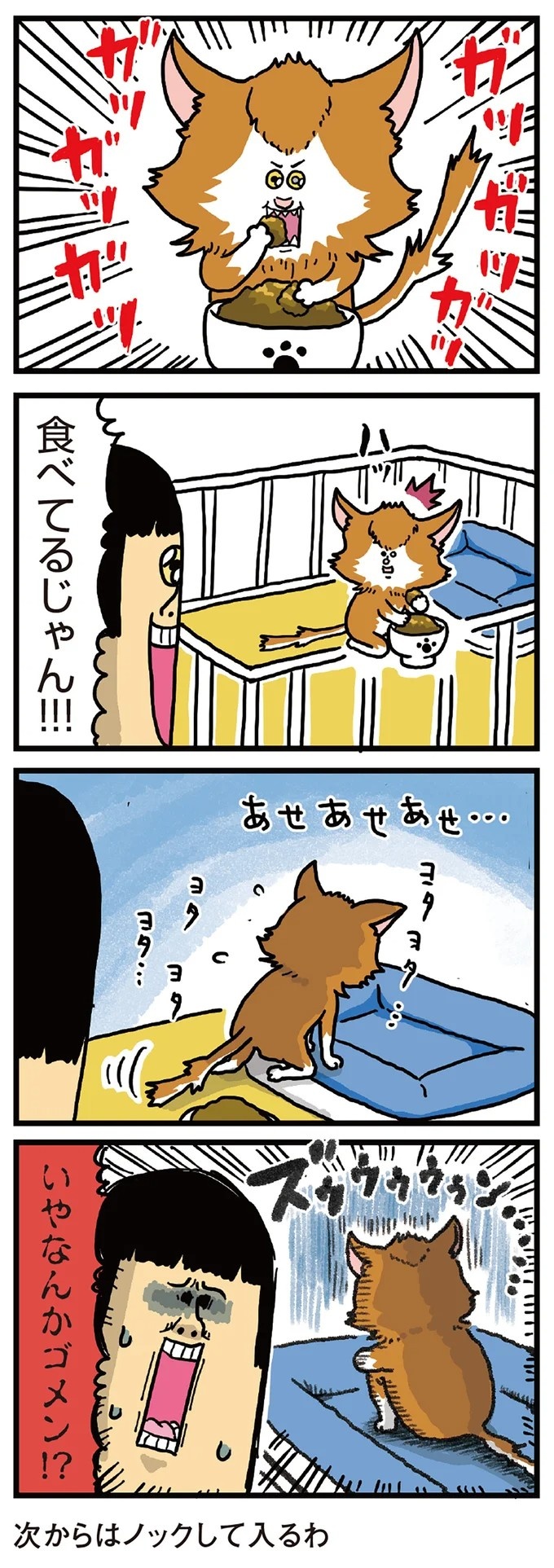 飼い主と犬の「心が通じ合った瞬間」。いや、これは嬉しくない…！／まめきちまめこニートの日常 こまちとタビ2（画像27/164枚目）