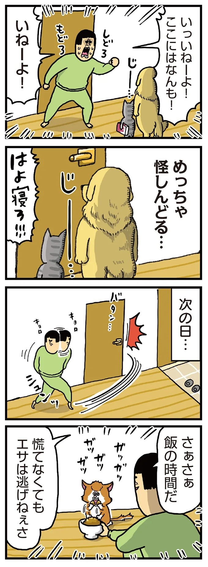 飼い主と犬の「心が通じ合った瞬間」。いや、これは嬉しくない…！／まめきちまめこニートの日常 こまちとタビ2（画像31/164枚目）