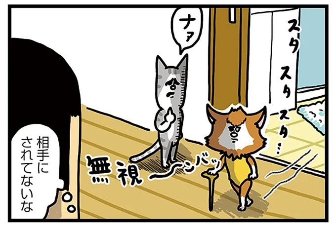 飼い主と犬の「心が通じ合った瞬間」。いや、これは嬉しくない…！／まめきちまめこニートの日常 こまちとタビ2（画像34/164枚目）