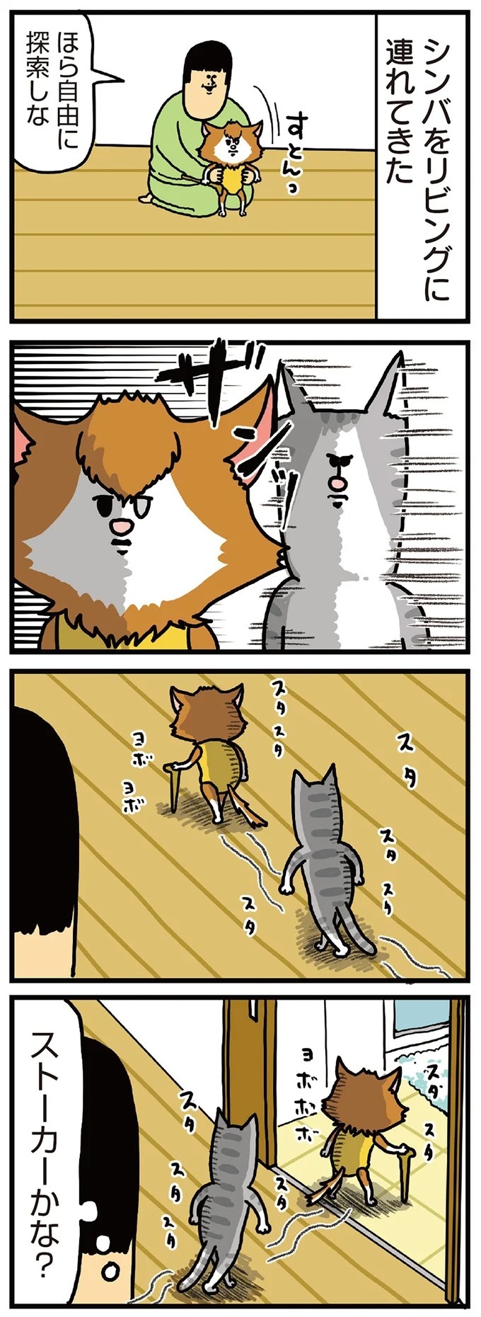 飼い主と犬の「心が通じ合った瞬間」。いや、これは嬉しくない…！／まめきちまめこニートの日常 こまちとタビ2（画像36/164枚目）
