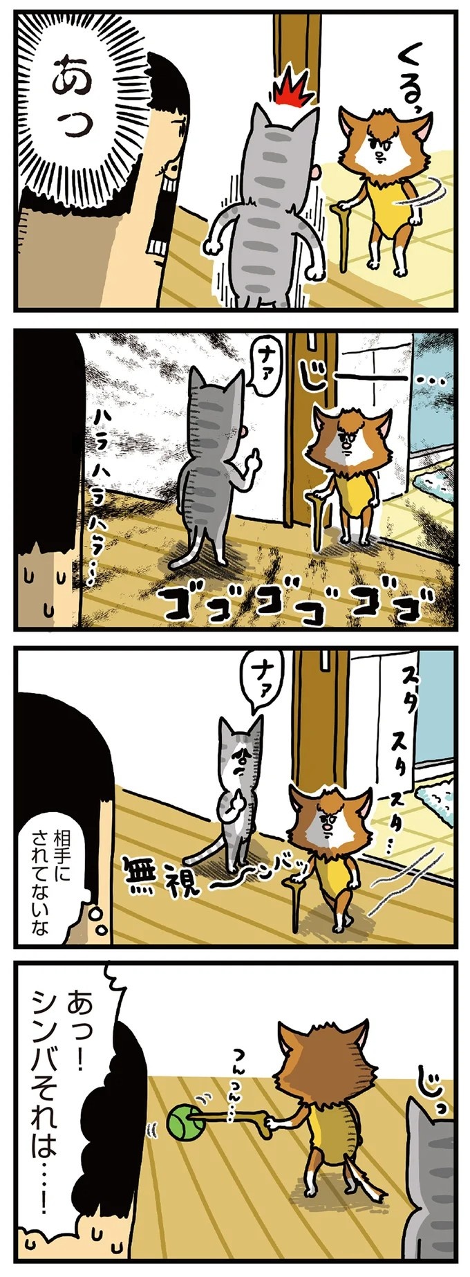 飼い主と犬の「心が通じ合った瞬間」。いや、これは嬉しくない…！／まめきちまめこニートの日常 こまちとタビ2（画像37/164枚目）
