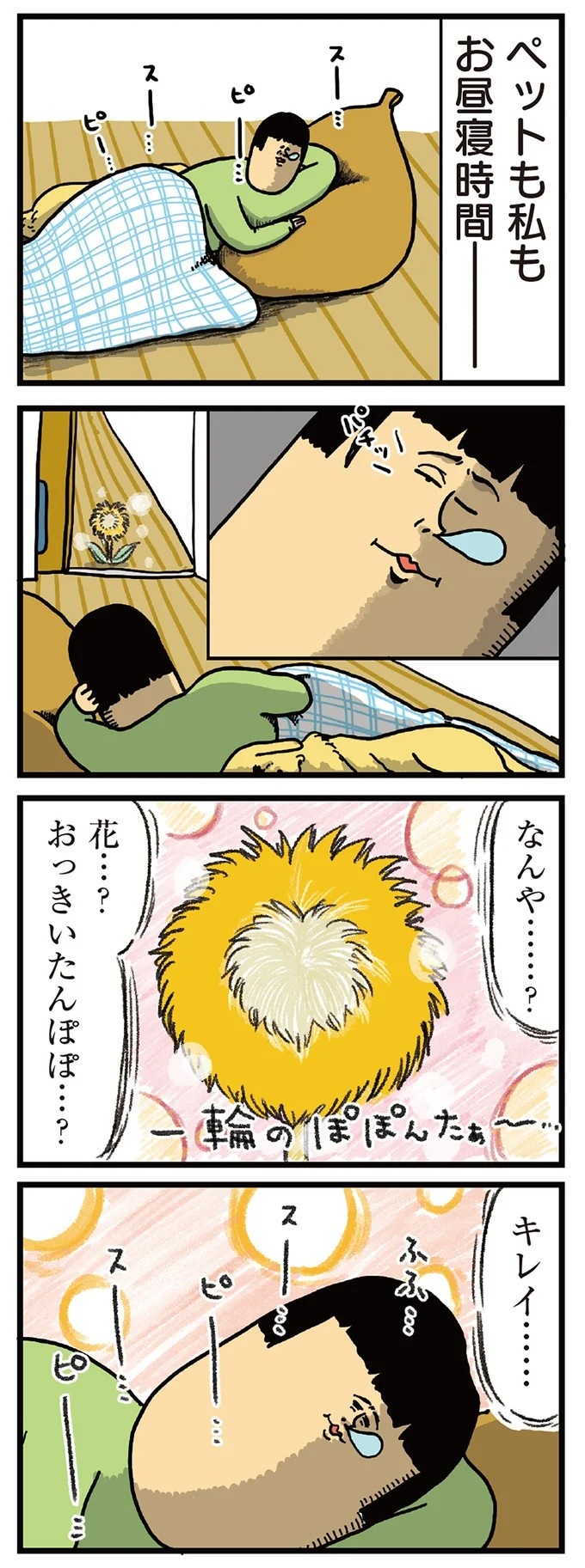 飼い主と犬の「心が通じ合った瞬間」。いや、これは嬉しくない…！／まめきちまめこニートの日常 こまちとタビ2（画像41/164枚目）