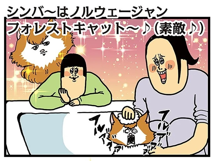 飼い主と犬の「心が通じ合った瞬間」。いや、これは嬉しくない…！／まめきちまめこニートの日常 こまちとタビ2（画像44/164枚目）
