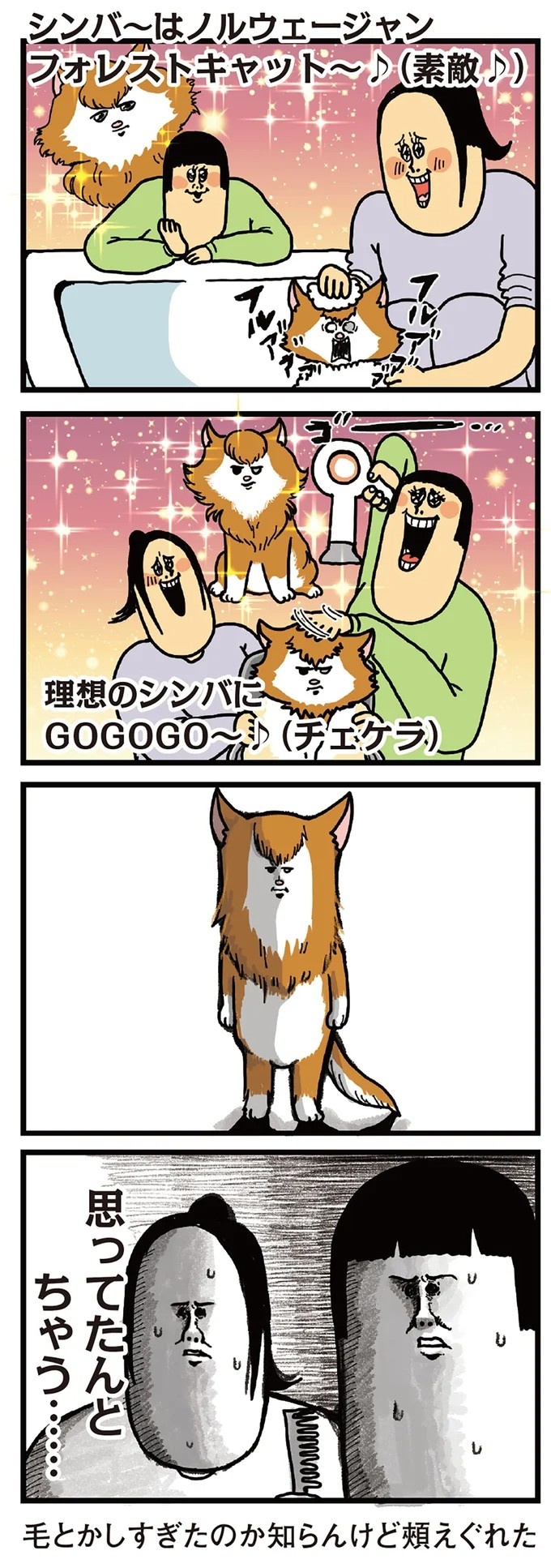 飼い主と犬の「心が通じ合った瞬間」。いや、これは嬉しくない…！／まめきちまめこニートの日常 こまちとタビ2（画像47/164枚目）