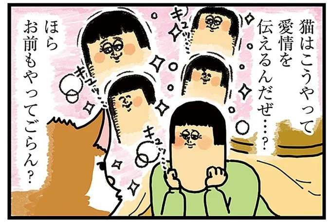 飼い主と犬の「心が通じ合った瞬間」。いや、これは嬉しくない…！／まめきちまめこニートの日常 こまちとタビ2（画像48/164枚目）