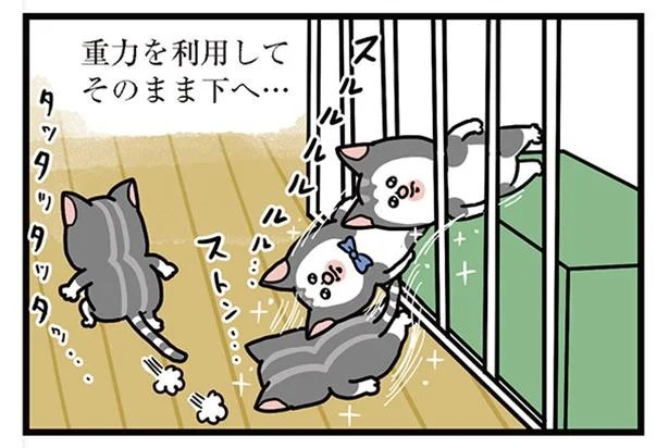 飼い主と犬の「心が通じ合った瞬間」。いや、これは嬉しくない…！／まめきちまめこニートの日常 こまちとタビ2（画像53/164枚目）