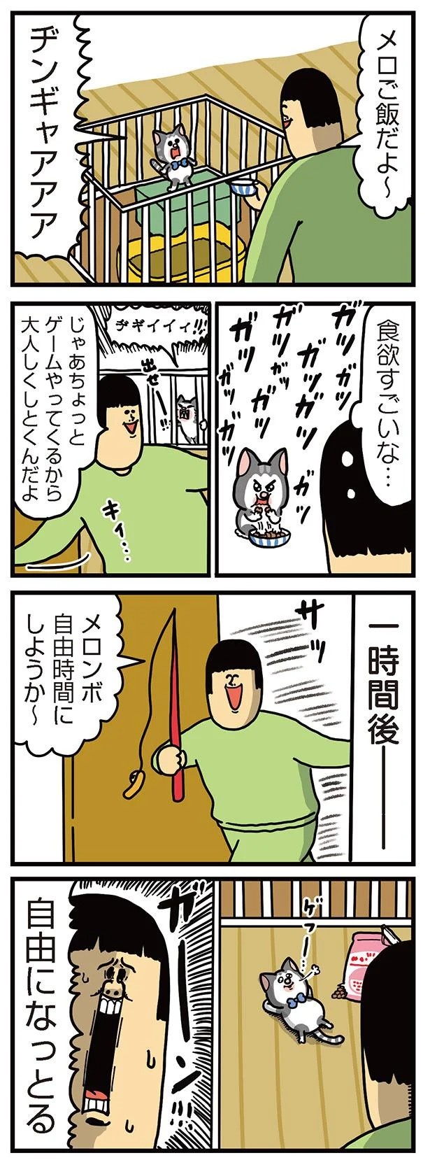 飼い主と犬の「心が通じ合った瞬間」。いや、これは嬉しくない…！／まめきちまめこニートの日常 こまちとタビ2（画像57/164枚目）