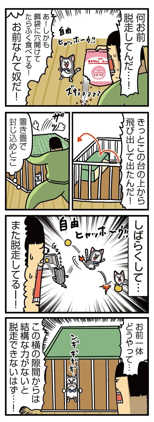 飼い主と犬の「心が通じ合った瞬間」。いや、これは嬉しくない…！／まめきちまめこニートの日常 こまちとタビ2（画像58/164枚目）