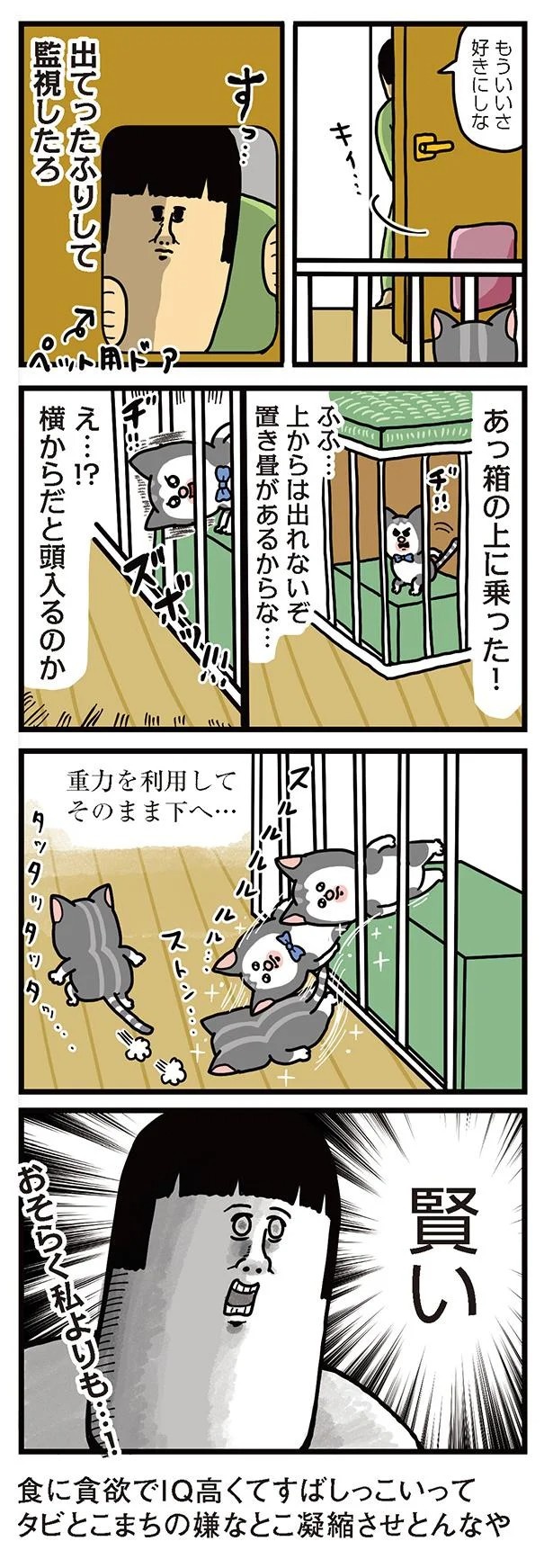 飼い主と犬の「心が通じ合った瞬間」。いや、これは嬉しくない…！／まめきちまめこニートの日常 こまちとタビ2（画像59/164枚目）