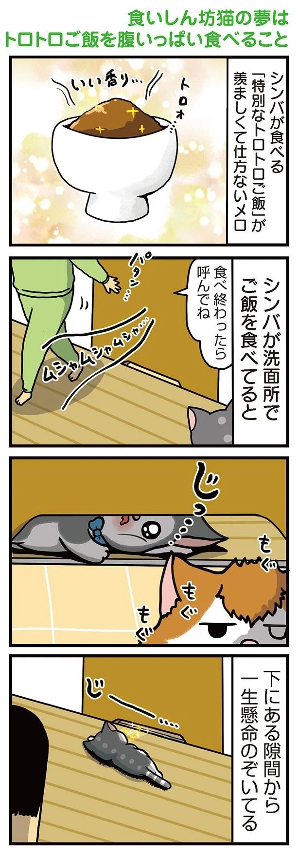 飼い主と犬の「心が通じ合った瞬間」。いや、これは嬉しくない…！／まめきちまめこニートの日常 こまちとタビ2（画像63/164枚目）
