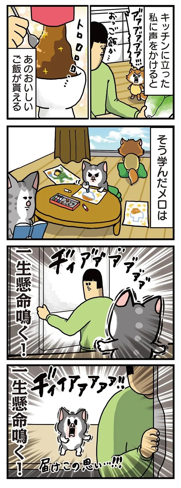 飼い主と犬の「心が通じ合った瞬間」。いや、これは嬉しくない…！／まめきちまめこニートの日常 こまちとタビ2（画像64/164枚目）