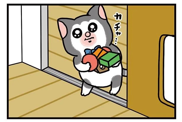 飼い主と犬の「心が通じ合った瞬間」。いや、これは嬉しくない…！／まめきちまめこニートの日常 こまちとタビ2（画像68/164枚目）