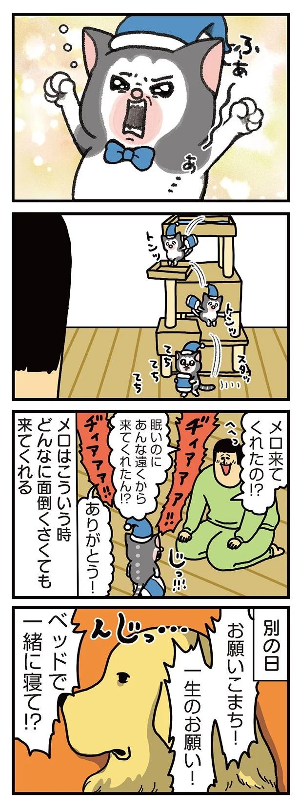 飼い主と犬の「心が通じ合った瞬間」。いや、これは嬉しくない…！／まめきちまめこニートの日常 こまちとタビ2（画像71/164枚目）