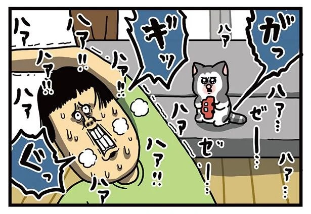 飼い主と犬の「心が通じ合った瞬間」。いや、これは嬉しくない…！／まめきちまめこニートの日常 こまちとタビ2（画像74/164枚目）