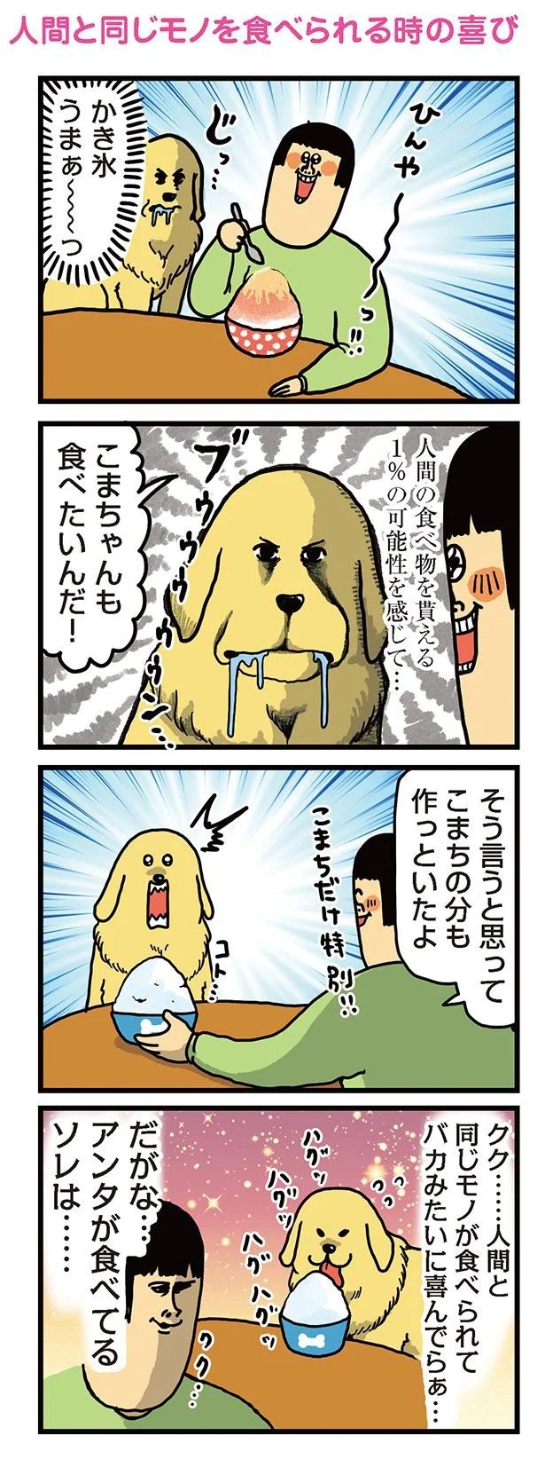飼い主と犬の「心が通じ合った瞬間」。いや、これは嬉しくない…！／まめきちまめこニートの日常 こまちとタビ2（画像82/164枚目）