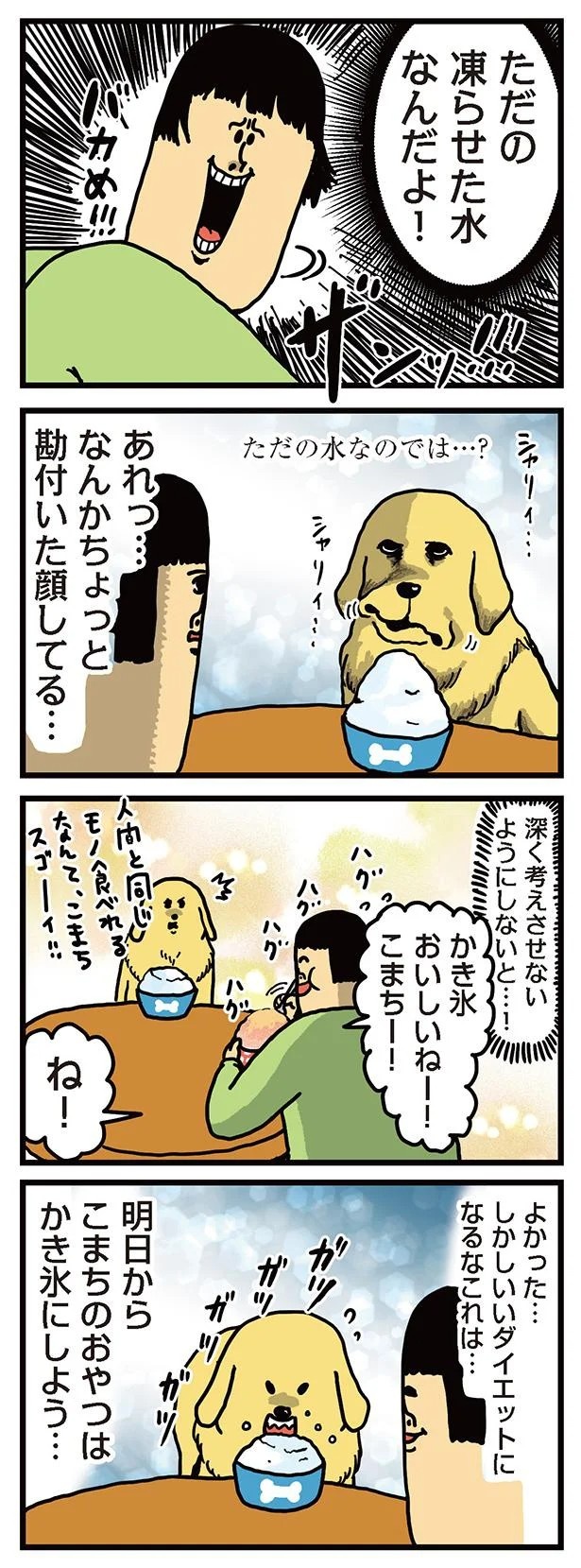 飼い主と犬の「心が通じ合った瞬間」。いや、これは嬉しくない…！／まめきちまめこニートの日常 こまちとタビ2（画像83/164枚目）
