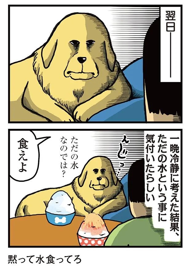 飼い主と犬の「心が通じ合った瞬間」。いや、これは嬉しくない…！／まめきちまめこニートの日常 こまちとタビ2（画像84/164枚目）