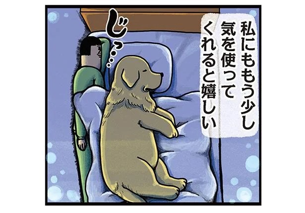 飼い主と犬の「心が通じ合った瞬間」。いや、これは嬉しくない…！／まめきちまめこニートの日常 こまちとタビ2（画像86/164枚目）