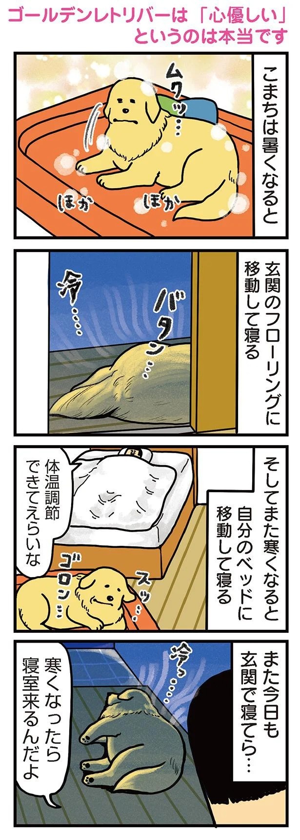 飼い主と犬の「心が通じ合った瞬間」。いや、これは嬉しくない…！／まめきちまめこニートの日常 こまちとタビ2（画像87/164枚目）